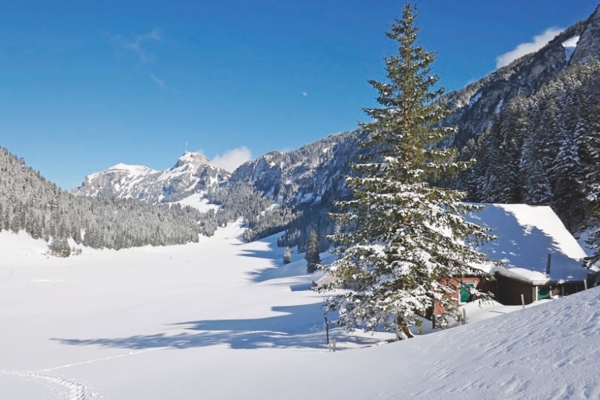 Winterwanderung - hoch zum Sämtisersee bei Eis und Schnee