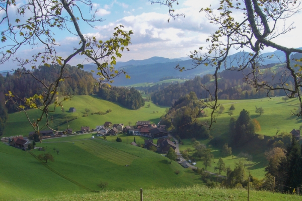 Dans la partie inférieure du Toggenburg