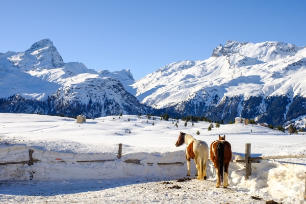 Schneeschuhrunde von Sur über die Alp Flix