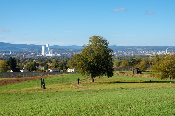 Historische Wanderung zur Eisernen Hand am Basler Rheinknie