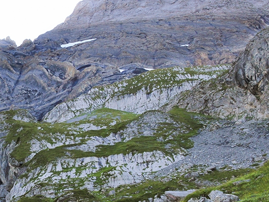 Sieben Köpfe in den Waadtländer Alpen