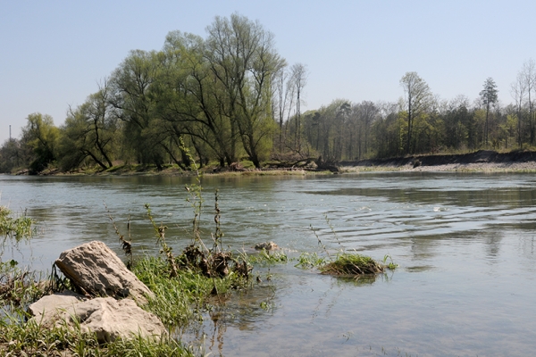 Ode à la nature vers Aarau