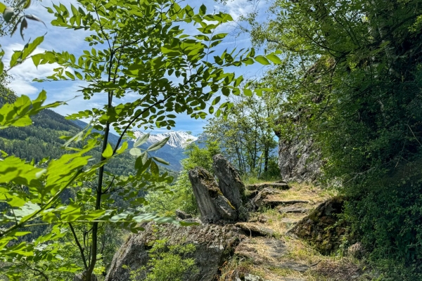 Kastanienselven, eine Hängebrücke und urbanes Flair