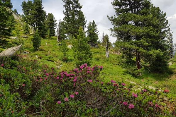 Kontraste auf dem Alpenpässeweg