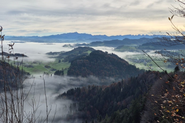 Zum höchsten Punkt im Kanton Thurgau