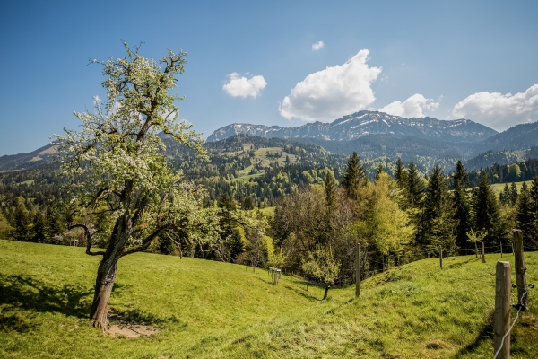 Feld, Wald und Wiese im Entlebuch