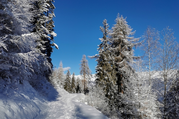 Jeux d’ombres dans le Val d’Anniviers