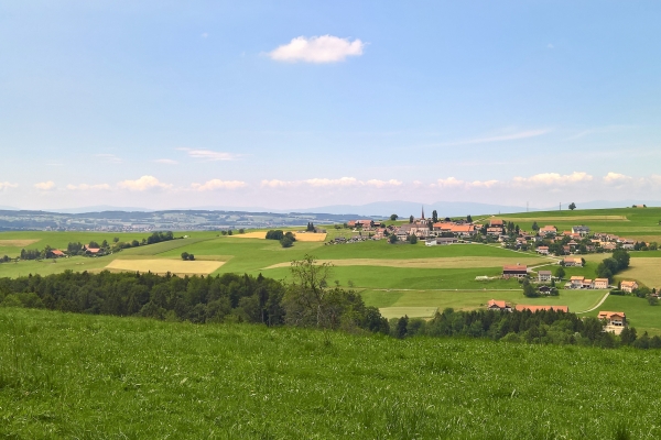 Freiburger und Waadtländer Voralpenland