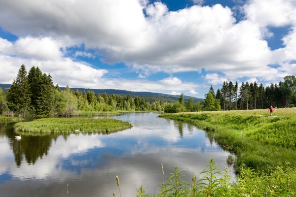 Sur les rives du lac de Joux