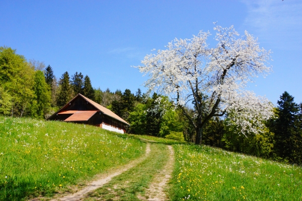 Di borgo in borgo nella campagna lucernese