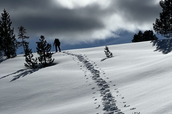 Schneeschuhwanderung Oberrickenbach - Schönegg - Gitschenen