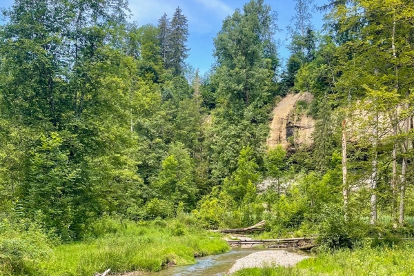 En famille dans les belles gorges du Wissbach