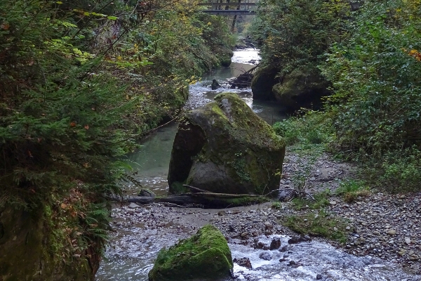 Près de Fribourg, les gorges du Gottéron 