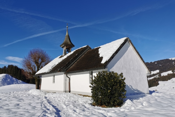 Rundtour auf Schneeschuhen im Greyerzerland