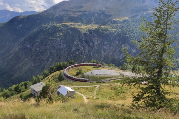 Über die Alp Grüm auf den Berninapass