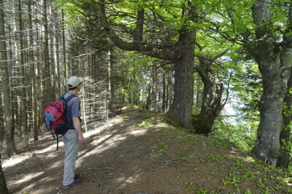 De belles vues dans les Préalpes fribourgeoises