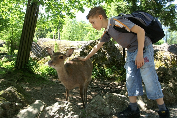 Ein Tag im Tierpark Goldau