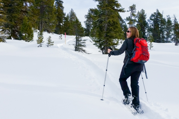 Chüematten-Trail am Niederhorn 