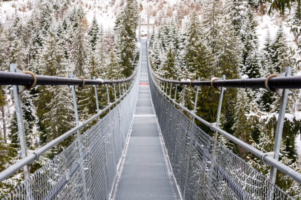 Durch geheimnisvollen Winterwald