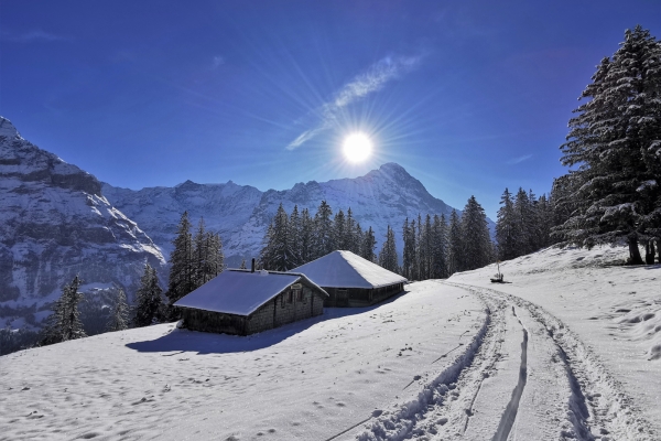 Le versant ensoleillé de Grindelwald