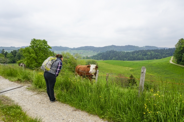 Idyllische Wanderung durchs Mittelland