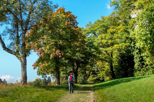 Zum höchsten Punkt in Delémont