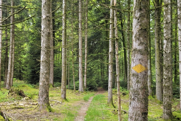 Idyllische Wanderung durchs Mittelland