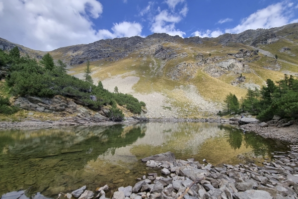 Durch das Val da Pila auf die Alp Grüm