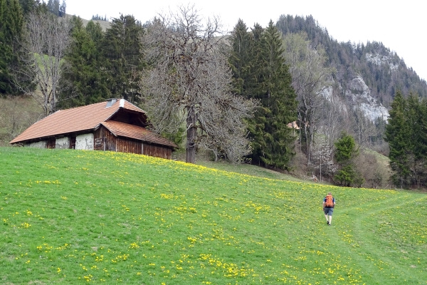 Grottes et bains dans le Simmental