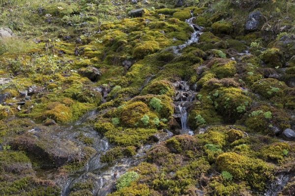 De la vallée de Gadmen à celle du Gental