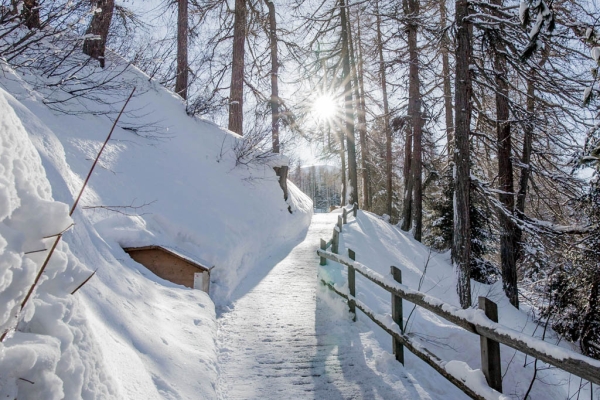 Engadiner Schneetraum im Val Fex