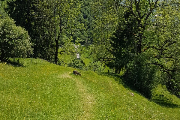 Durch das Hochmoor zum Kloster Einsiedeln