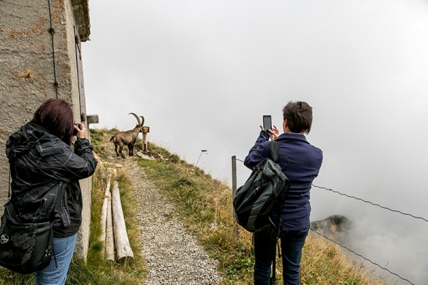 Impressionnant parcours vers le Rothorn