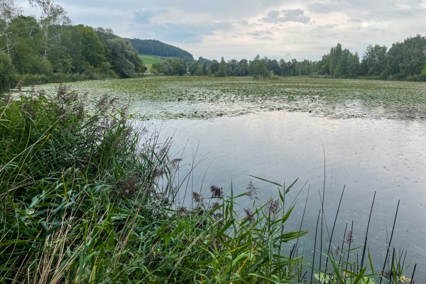 Histoire et profusion de nature à Jonschwil