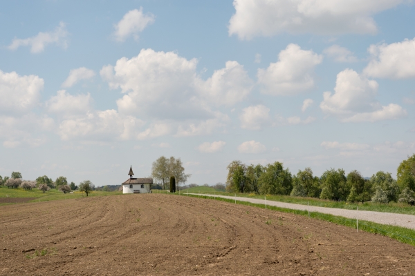 Von Weinfelden nach Frauenfeld