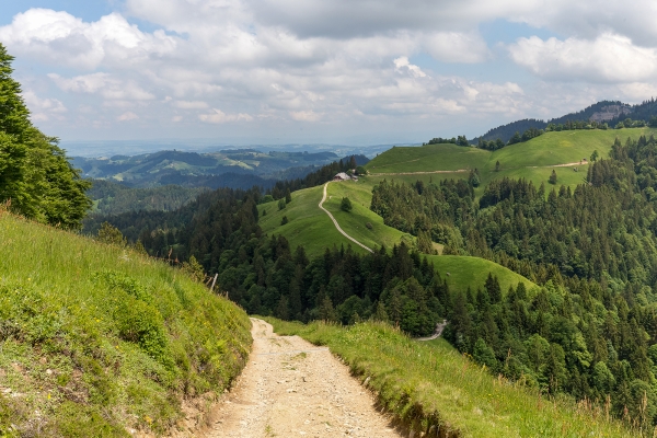 Auf dem Grenzpfad im Napfbergland 1