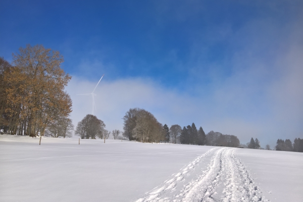 Mit Schneeschuhen über den Mont-Soleil