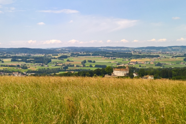 Préalpes vaudoises et fribourgeoises