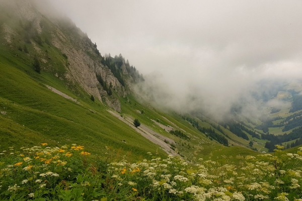 Unbekannte Gipfel im Greyerzerland