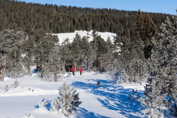 Panorama Trail in Obwalden