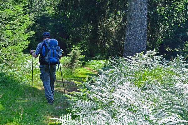 Galgen und Ruinen in der Surselva