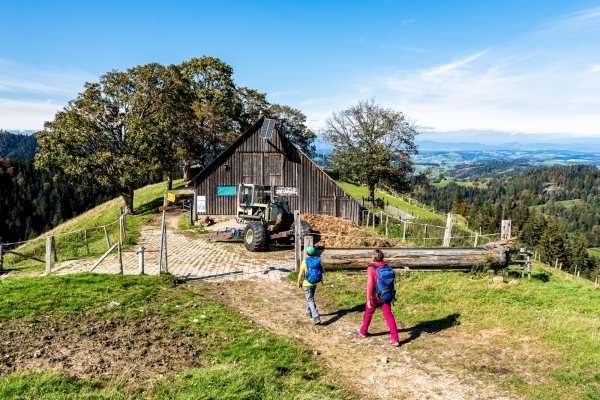 Abwechslungsreiche Herbstwanderung