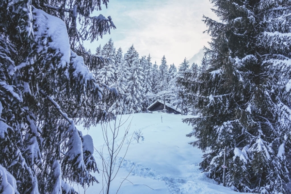 Wintermärchen in den Freiburger Voralpen