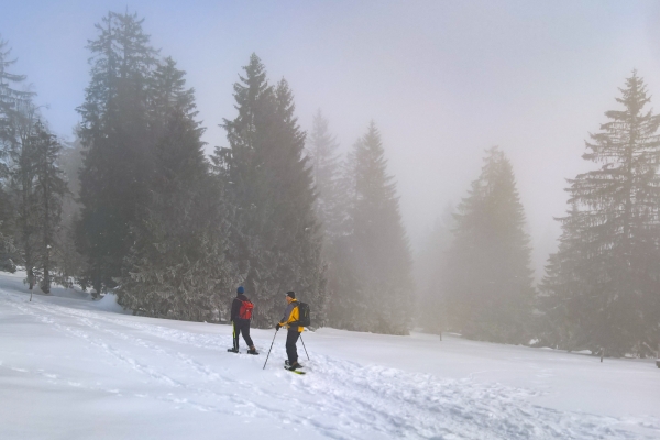 Mit Schneeschuhen über den Mont-Soleil