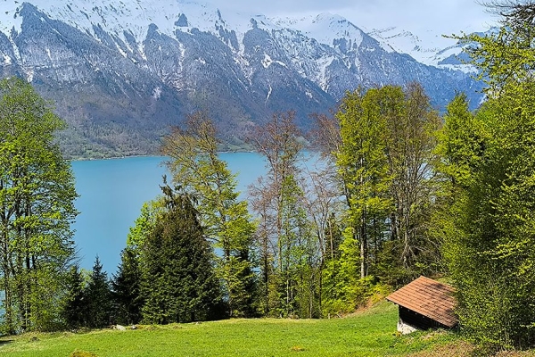 Auf den Höhen des Brienzersees (BE)