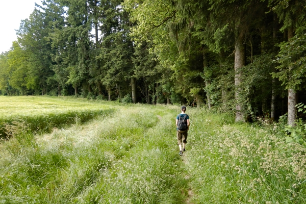 Les collines des Buchsiberge et Wynigenberge