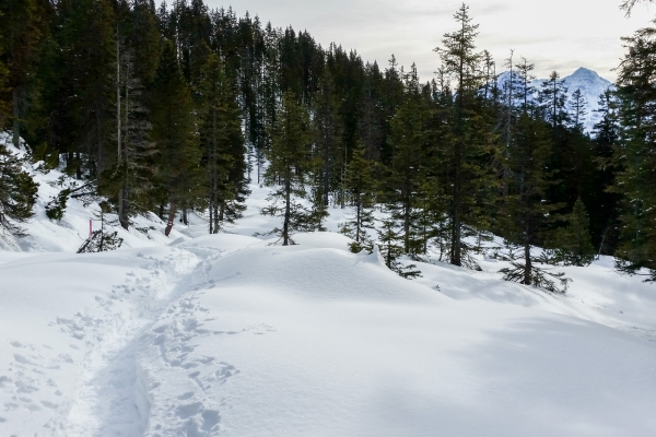 Chüematten-Trail am Niederhorn 