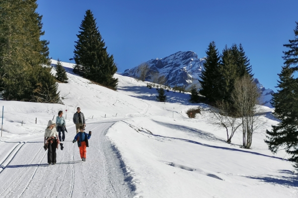 Soleil d’hiver dans le Chablais