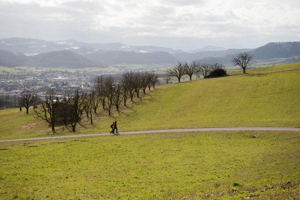 Über den Heuberg ins Fricktal