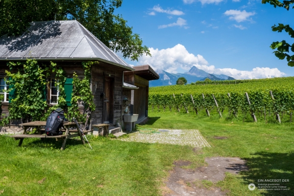 Angebot Krebsliga Graubünden: Frühsommer in der Herrschaft